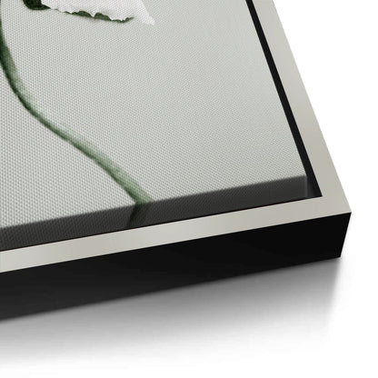 Poppy Flower - Canvas