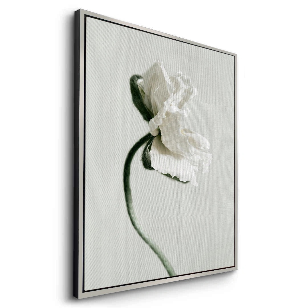 2Poppy Flower - Canvas