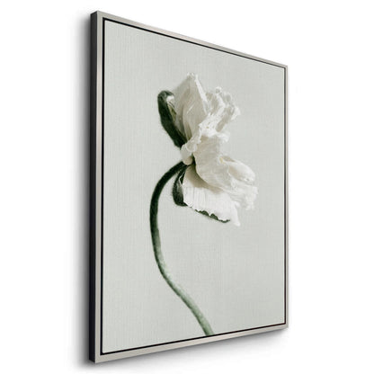 Poppy Flower - Canvas