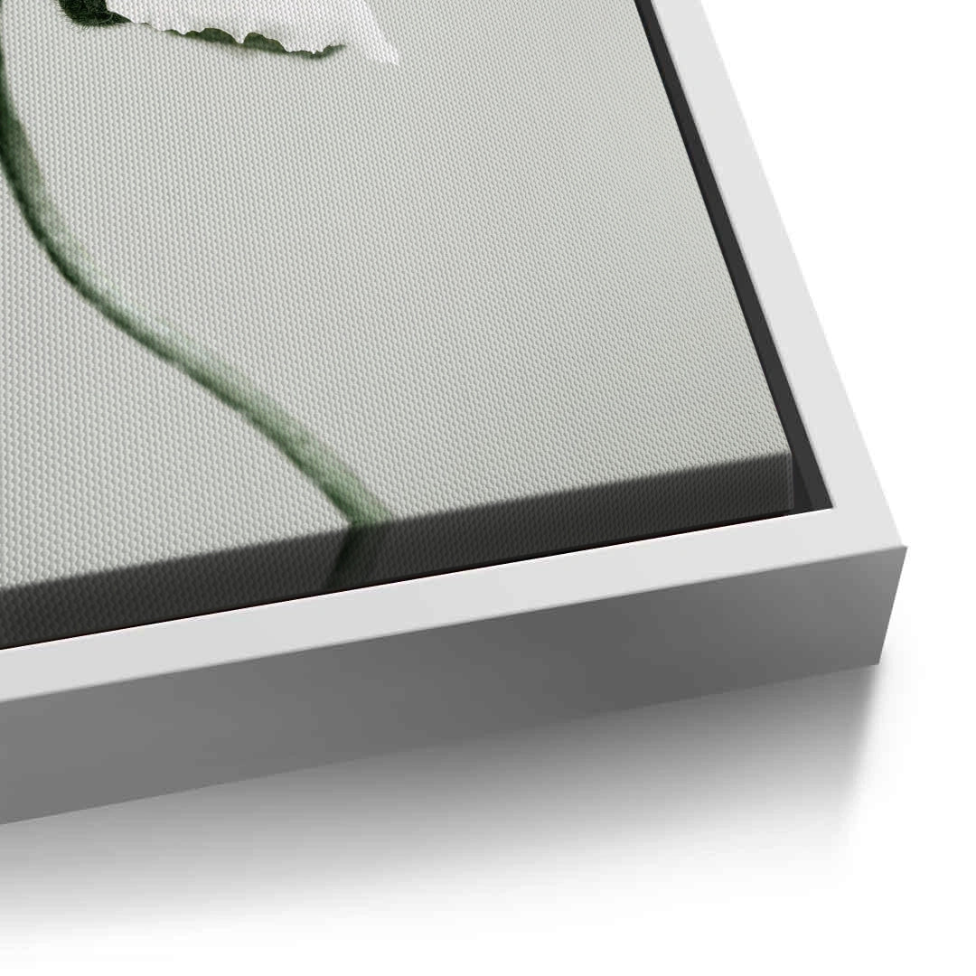 2Poppy Flower - Canvas