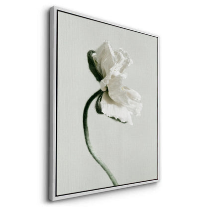 Poppy Flower - Canvas