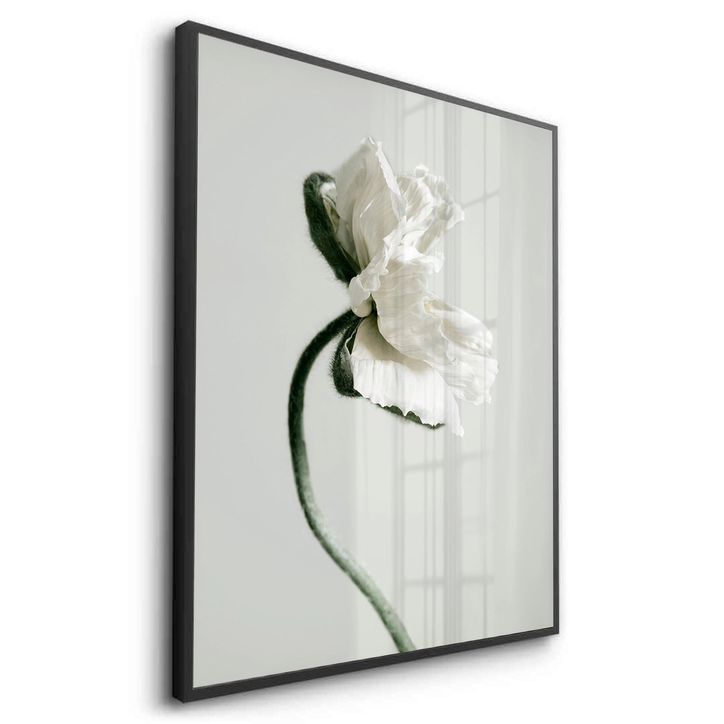 2Poppy Flower - Fine Art - Jasmineart.ae
