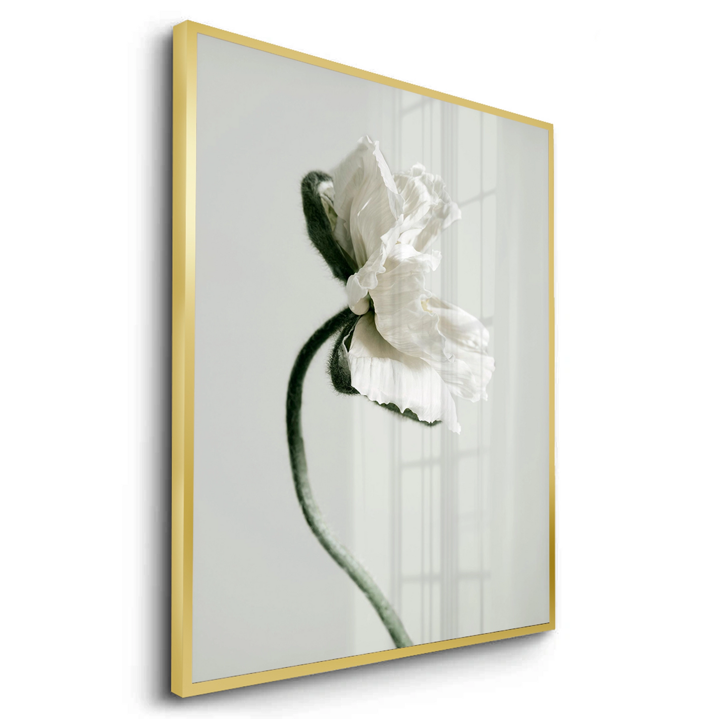 2Poppy Flower - Fine Art - Jasmineart.ae