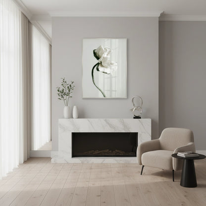 Poppy Flower - Fine Art - Jasmineart.ae
