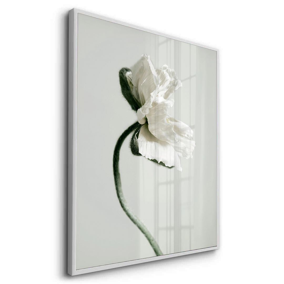 Poppy Flower - Fine Art - Jasmineart.ae