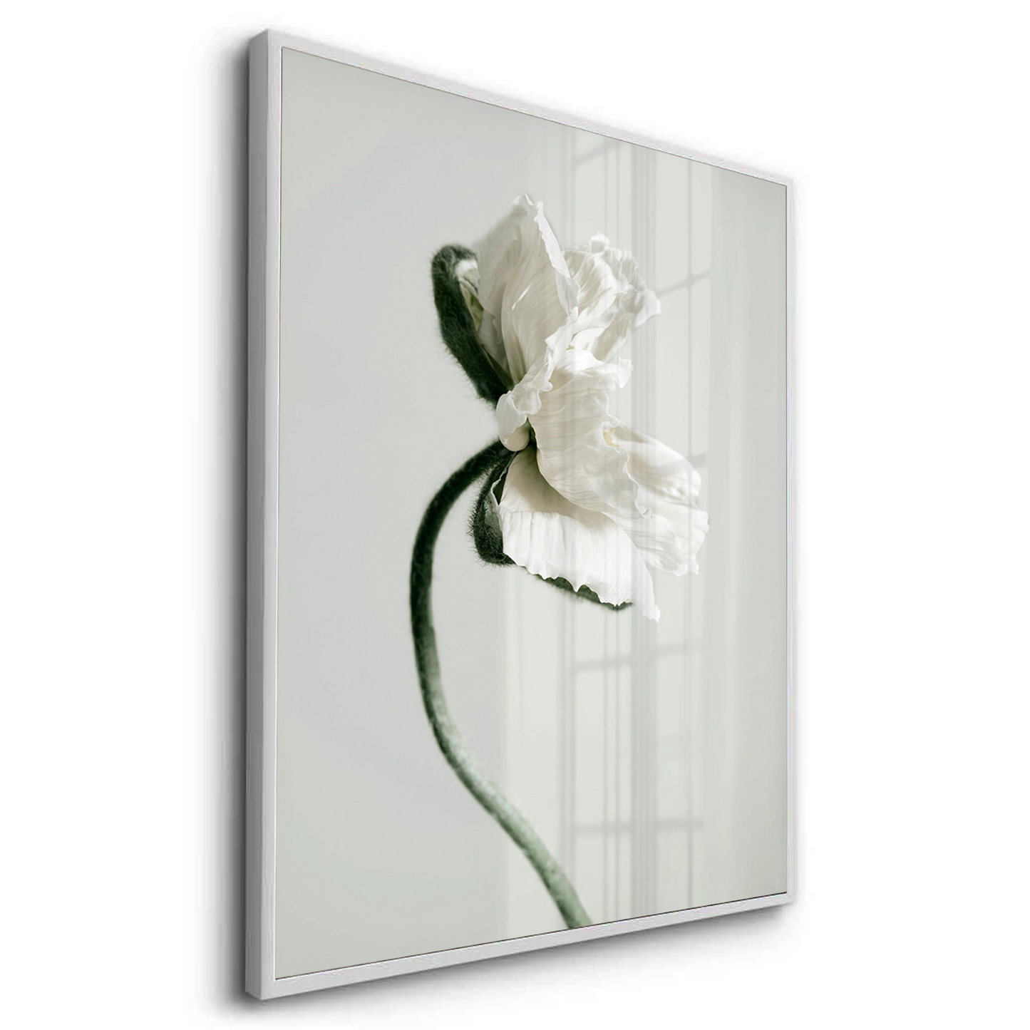 2Poppy Flower - Fine Art - Jasmineart.ae