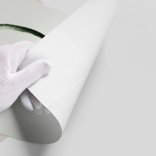 Poppy Flower - Poster