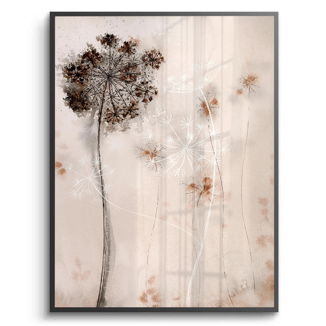 2Queen Anne_s Lace - Fine Art