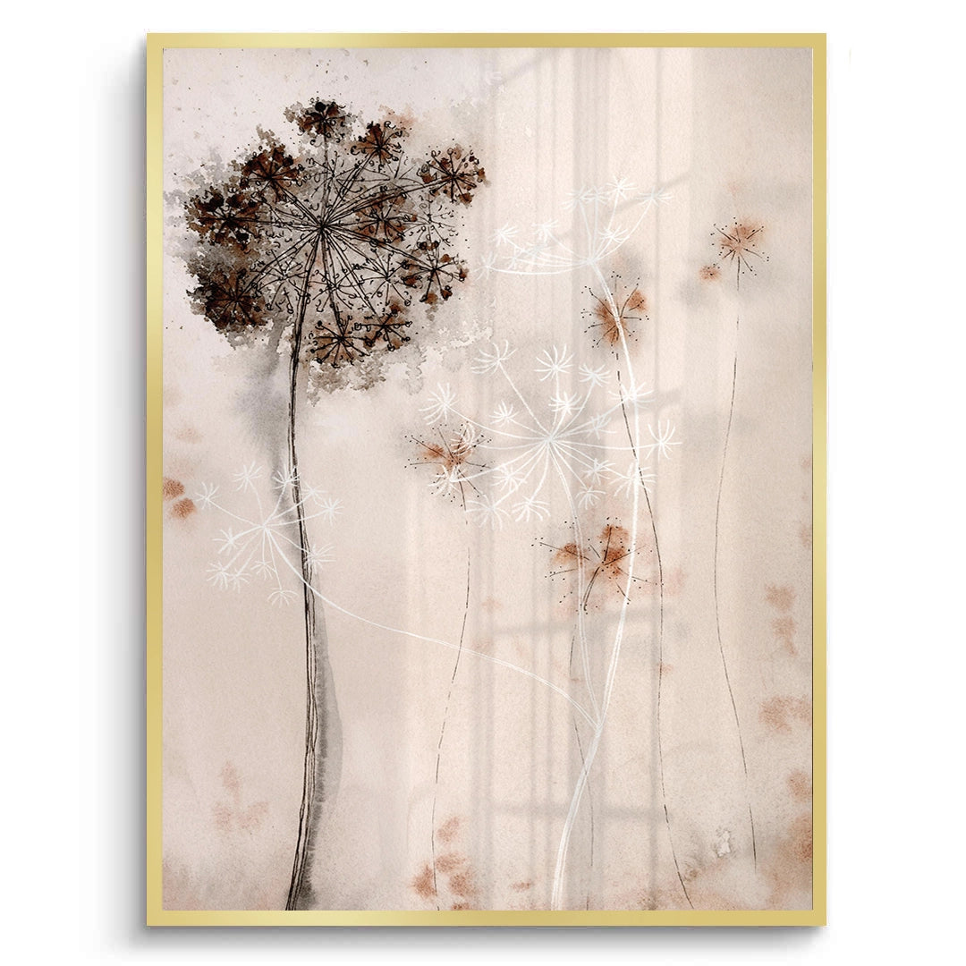 2Queen Anne_s Lace - Fine Art