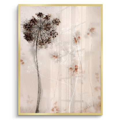 Queen Anne_s Lace - Fine Art