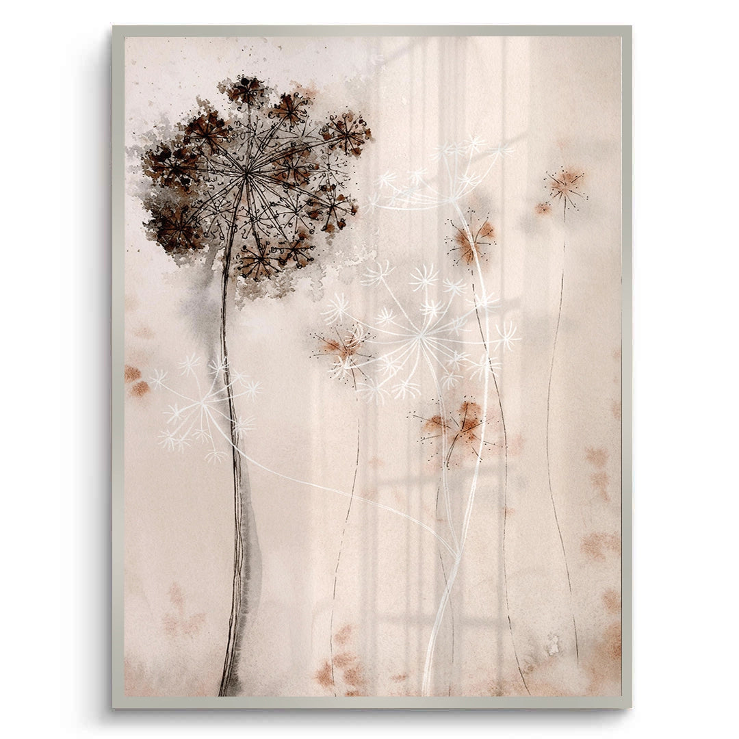 2Queen Anne_s Lace - Fine Art