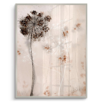 Queen Anne_s Lace - Fine Art