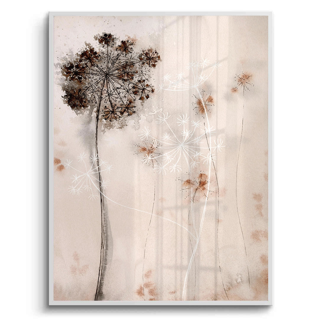 2Queen Anne_s Lace - Fine Art