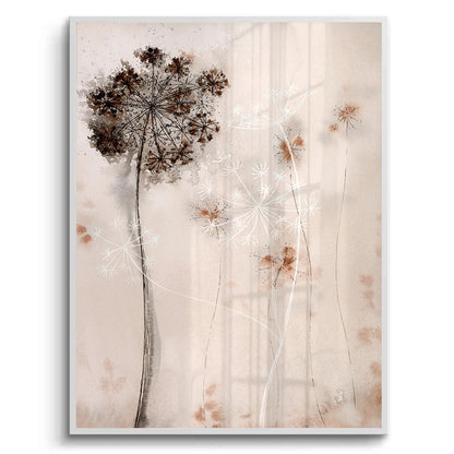 Queen Anne_s Lace - Fine Art
