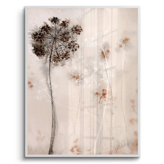 Queen Anne_s Lace - Fine Art