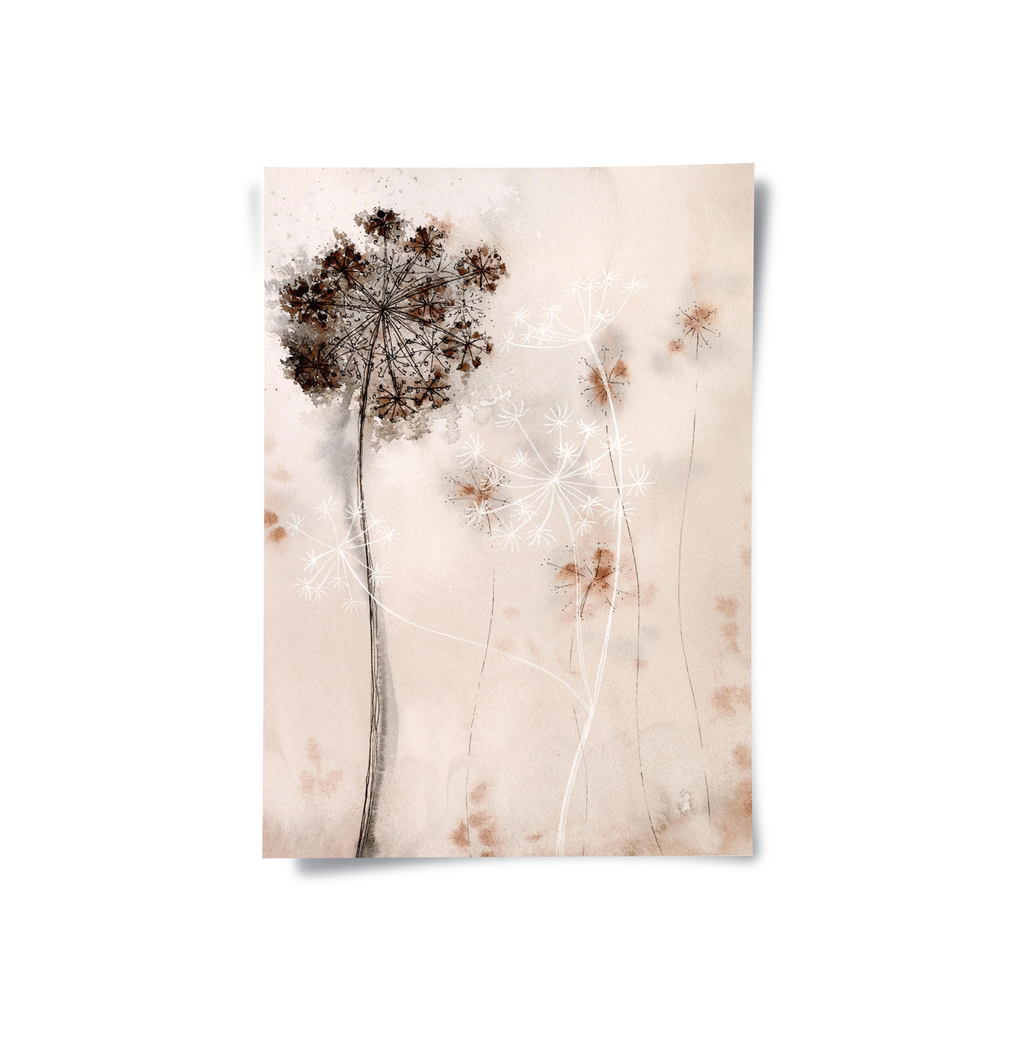 2Queen Anne_s Lace - Poster