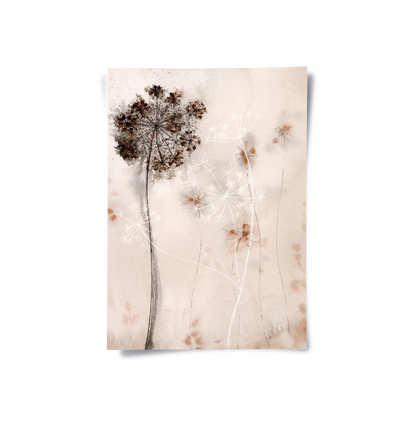 Queen Anne_s Lace - Poster