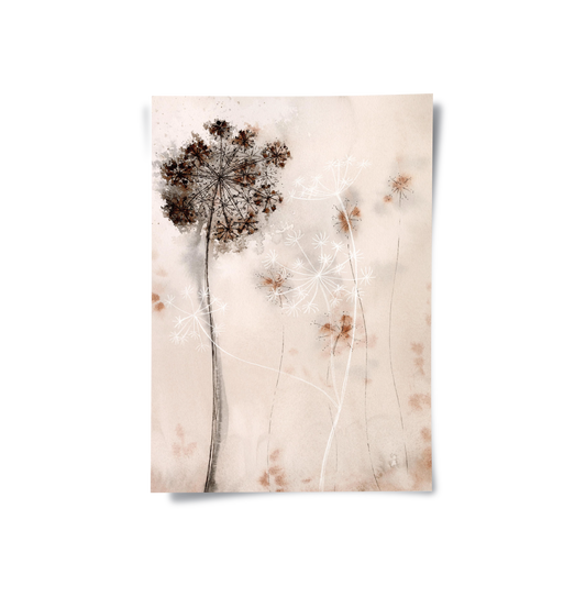 Queen Anne_s Lace - Poster