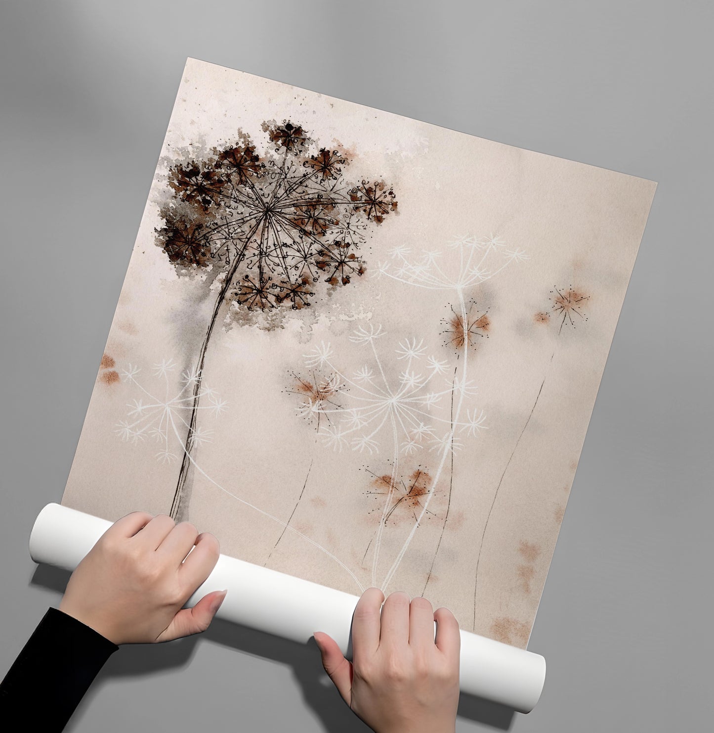 2Queen Anne_s Lace - Poster