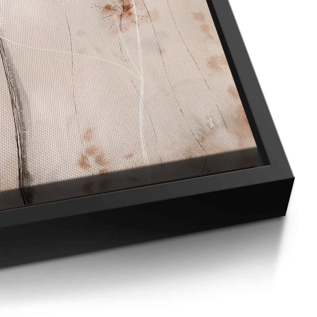 2Queen Anne_s Lace - Canvas