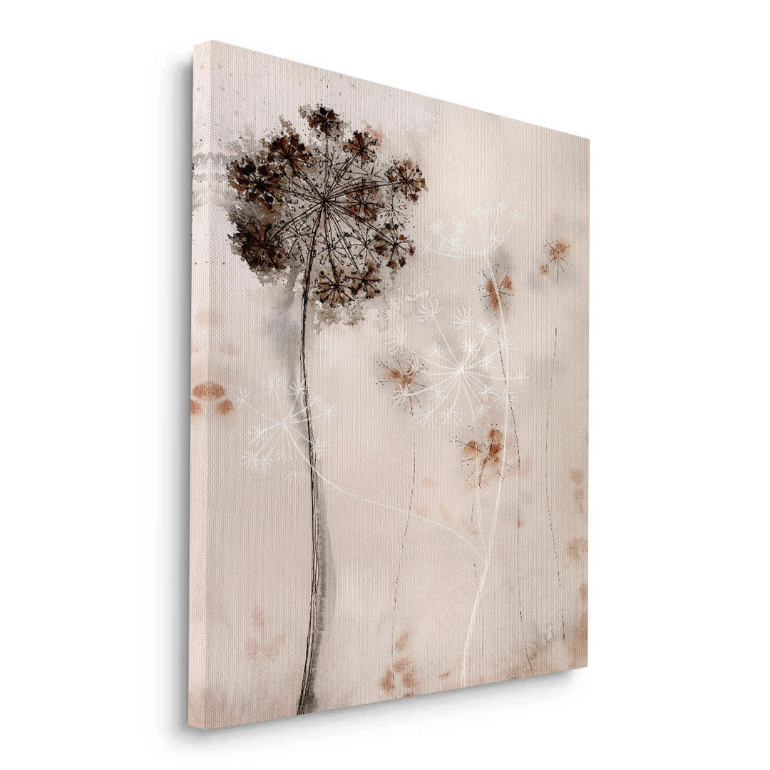 2Queen Anne_s Lace - Canvas