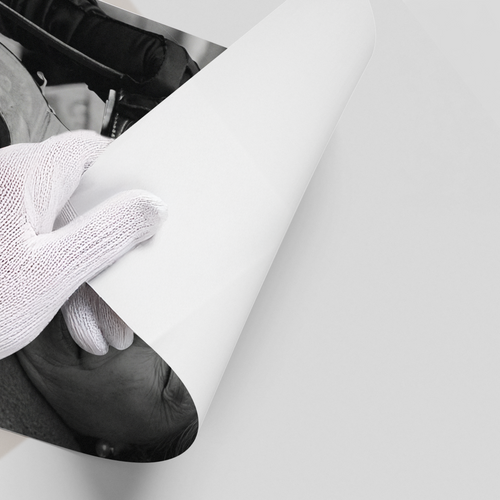 Queen Elizabeth II with Leica Camera - Poster