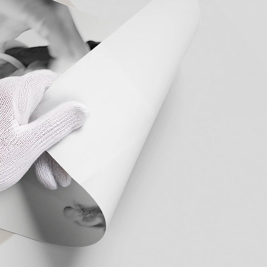 Roger Moore Whiskey - Poster