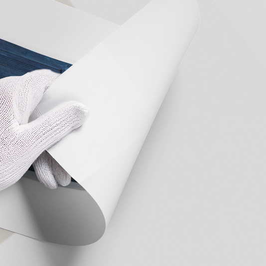 Rustic Blue Door - Poster