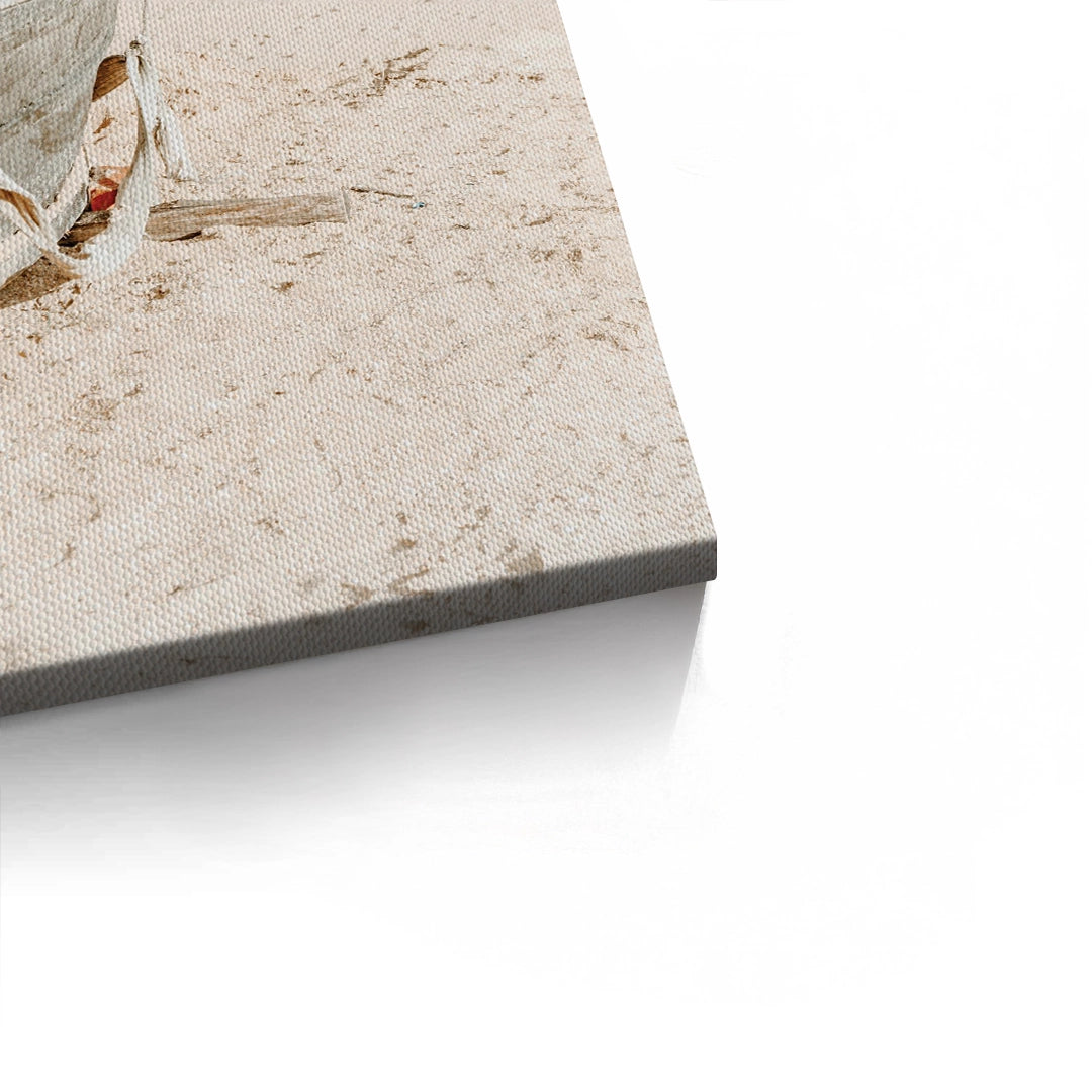 2Rustic Boat - Canvas