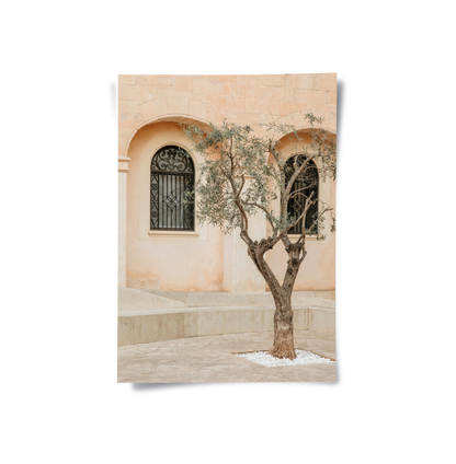 Rustic Stone Courtyard - Poster