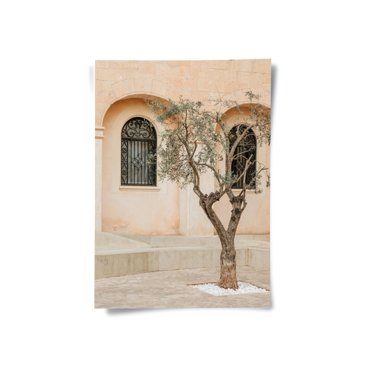 Rustic Stone Courtyard - Poster