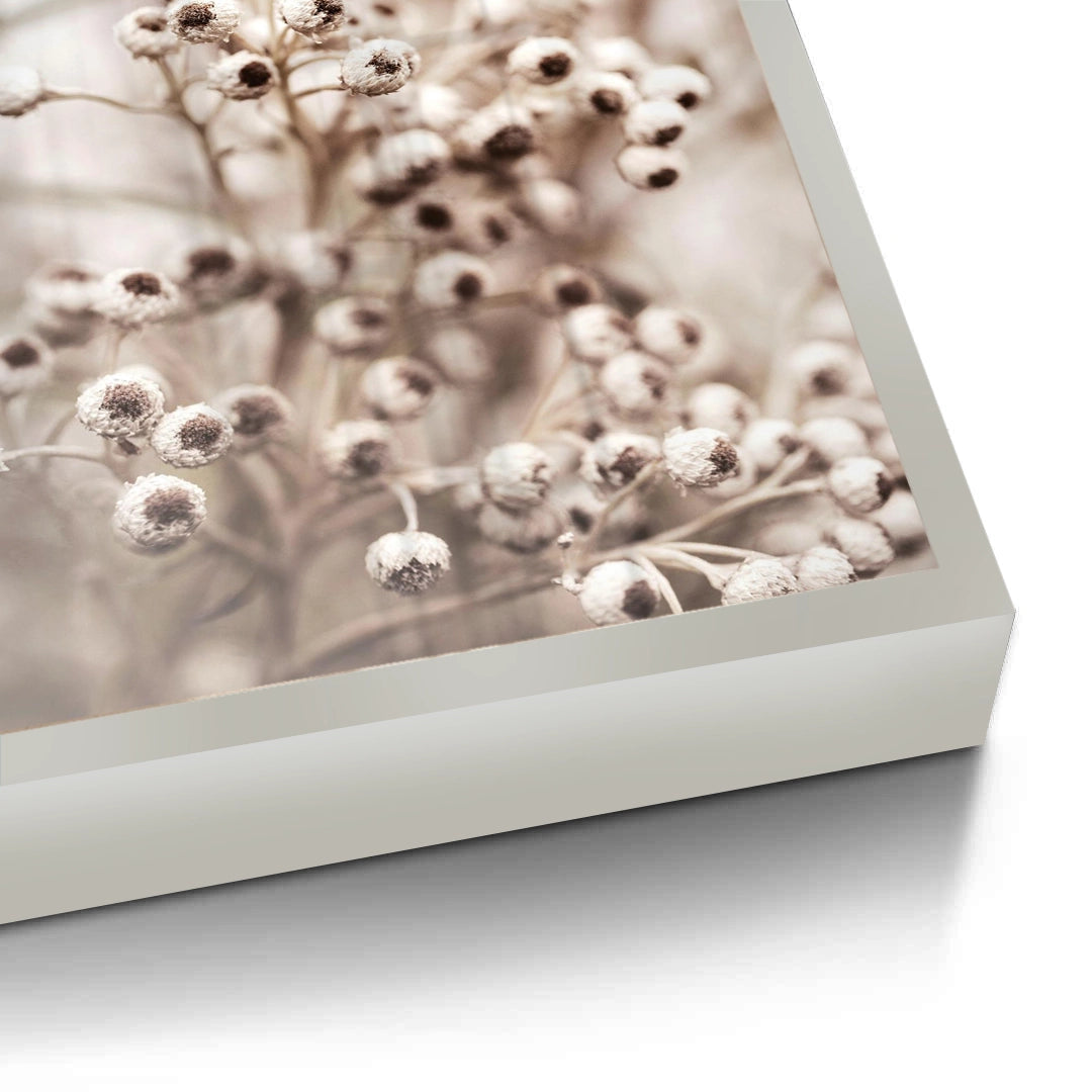 2Serene Beige Wildflower - Fine Art