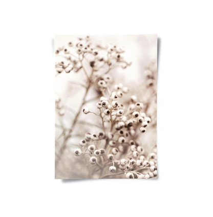 Serene Beige Wildflower - Poster