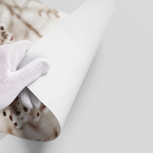 Serene Beige Wildflower - Poster