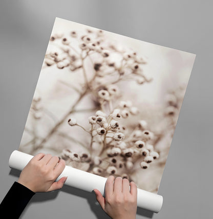 Serene Beige Wildflower - Poster