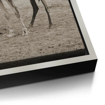 The First Touch - Canvas