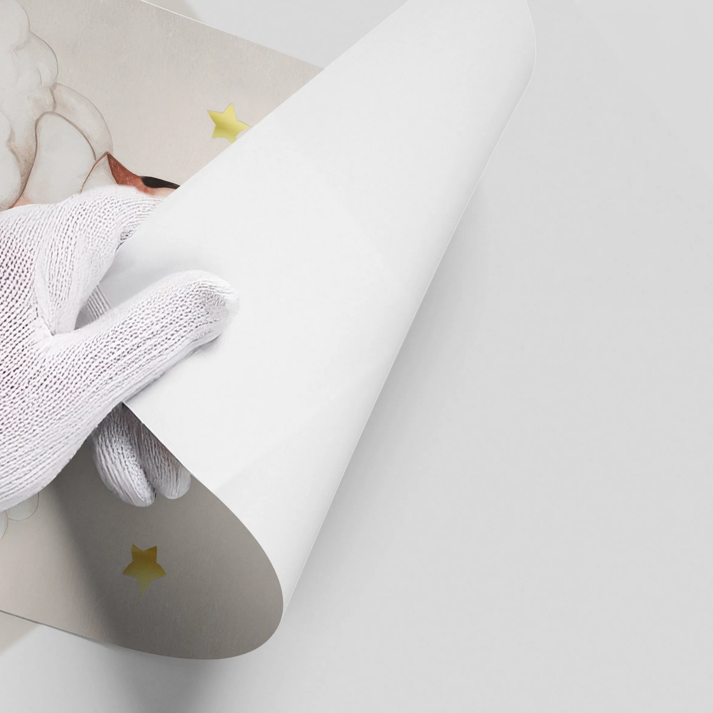 2Sleeping Fox - Poster