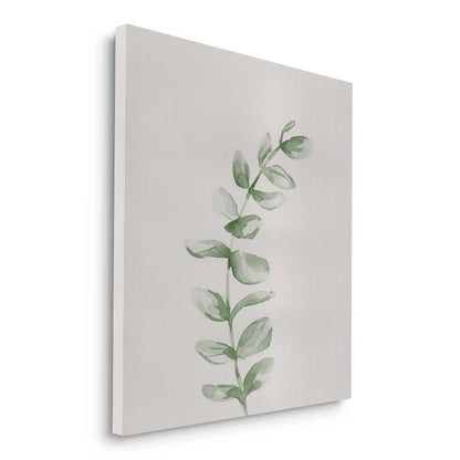 Soft Green Watercolor Leaf - Canvas