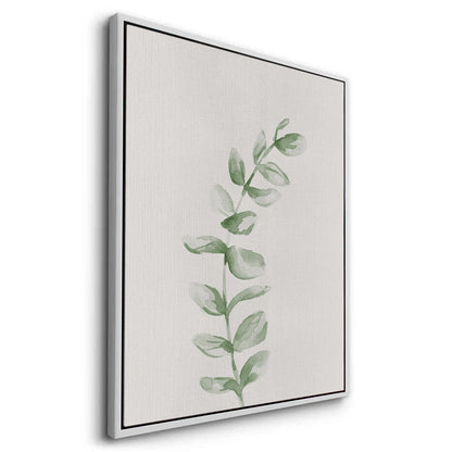 Soft Green Watercolor Leaf - Canvas