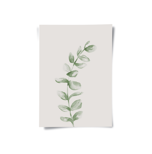 Soft Green Watercolor Leaf - Poster