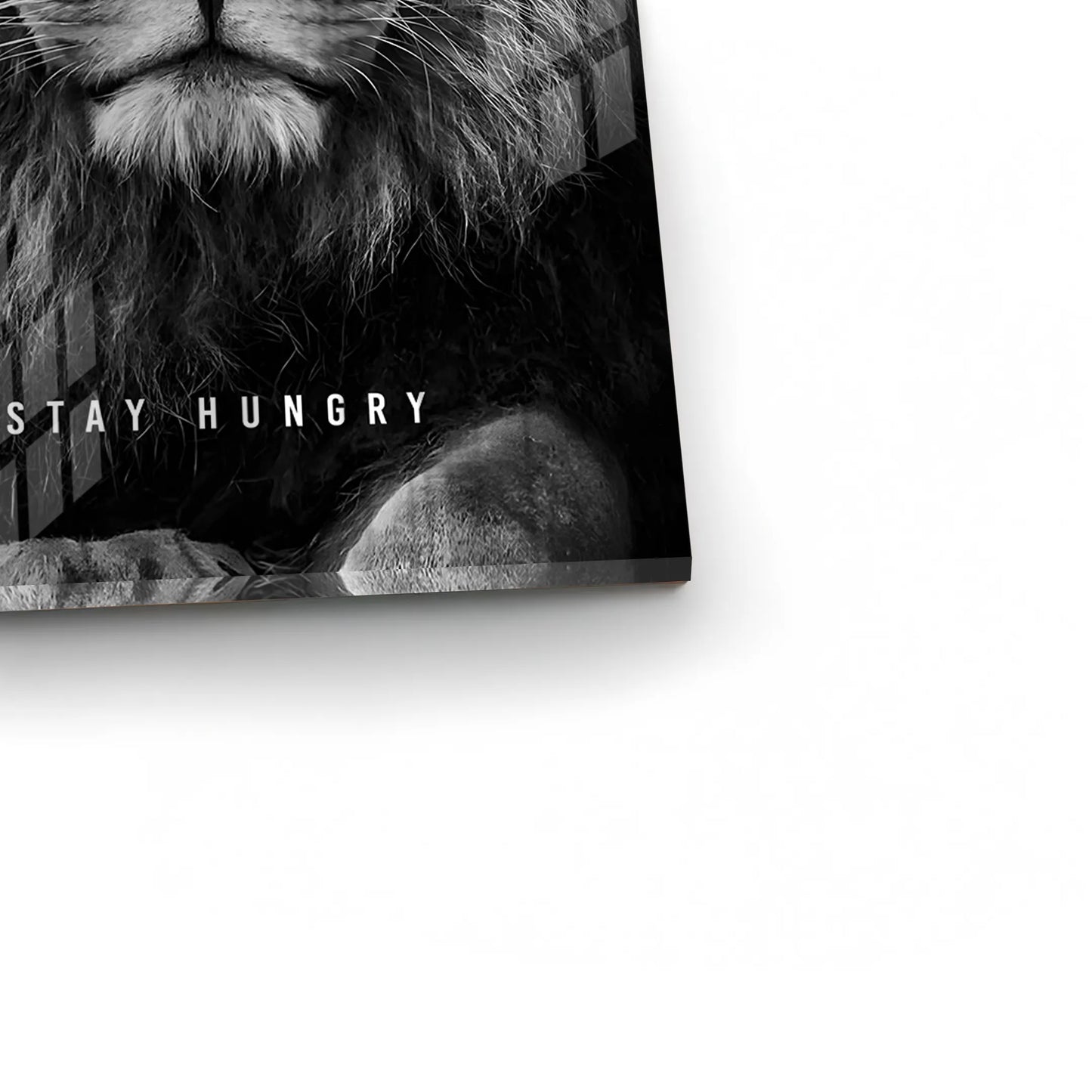 2Stay Hungry - Acrylic