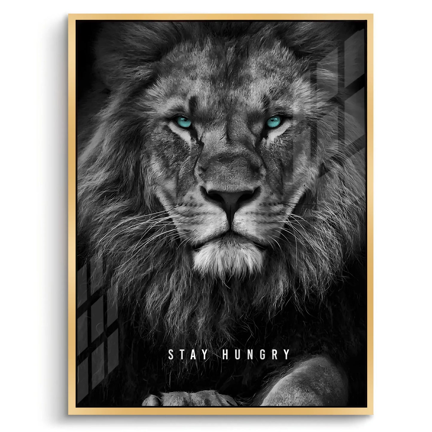 2Stay Hungry - Acrylic