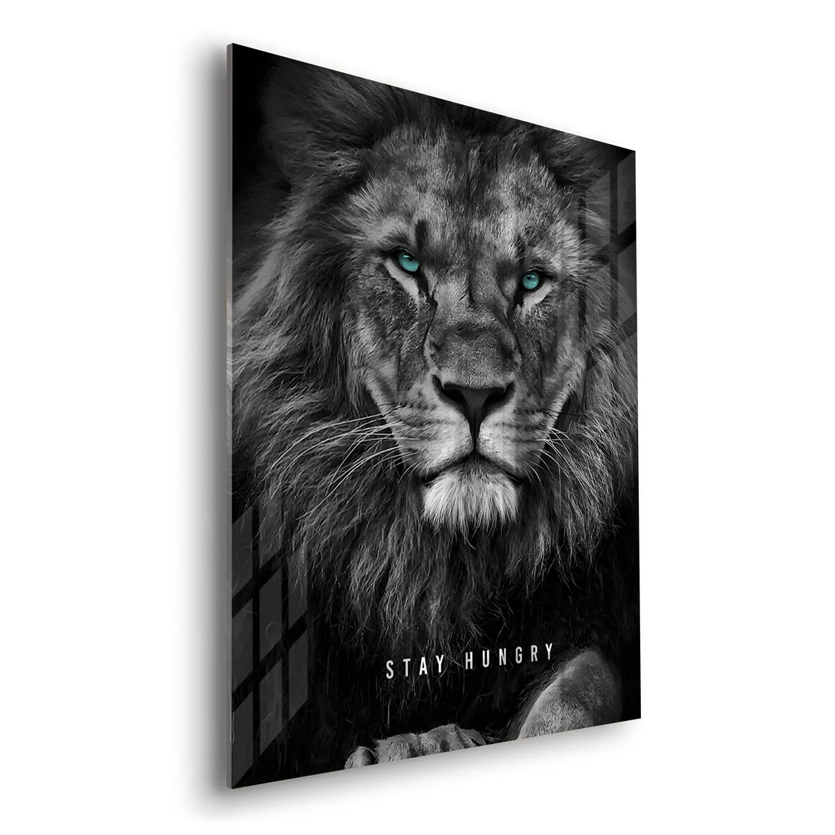 Stay Hungry - Acrylic - Jasmineart.ae