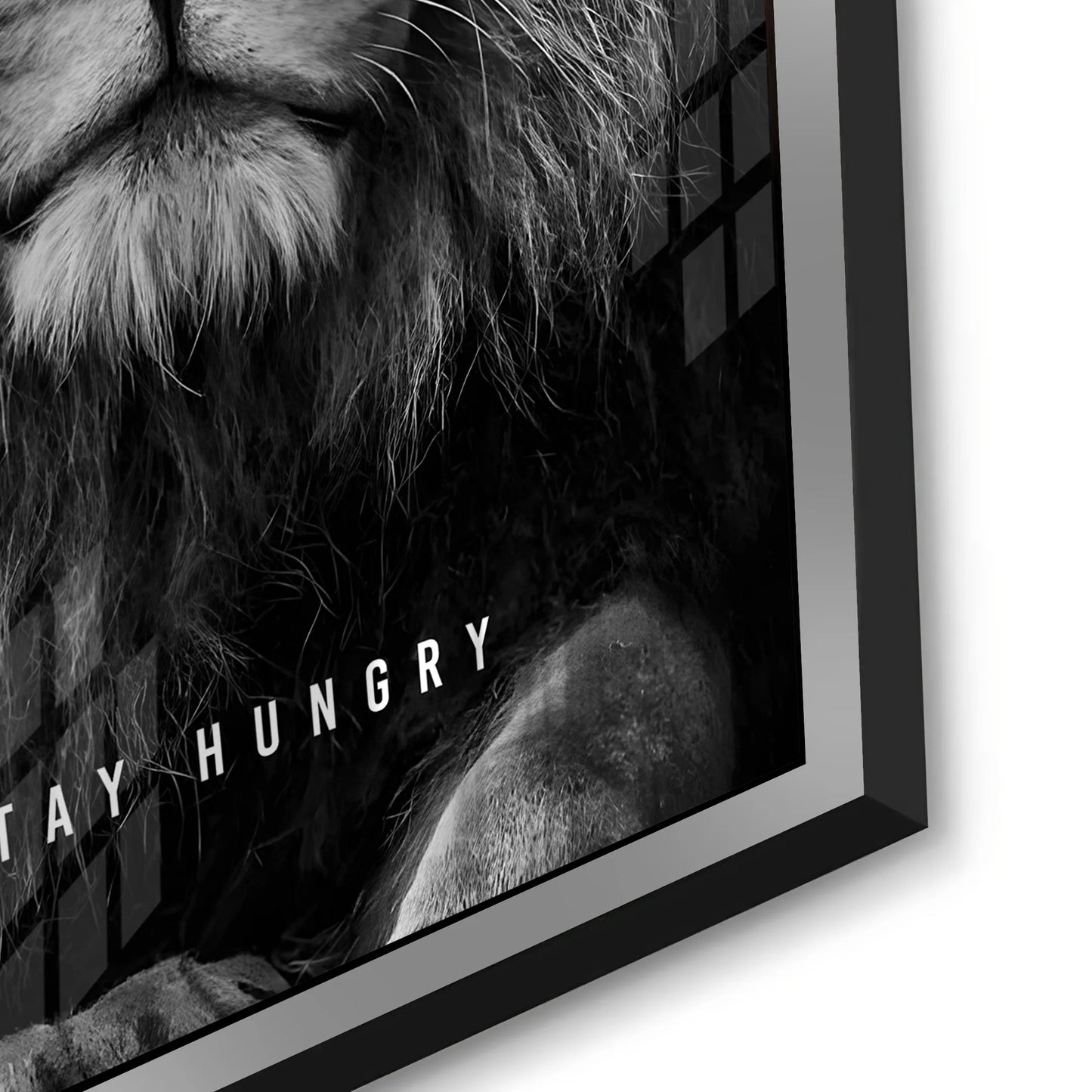 2Stay Hungry - Acrylic