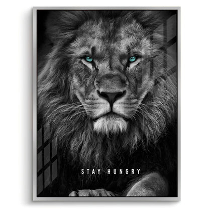 Stay Hungry - Acrylic