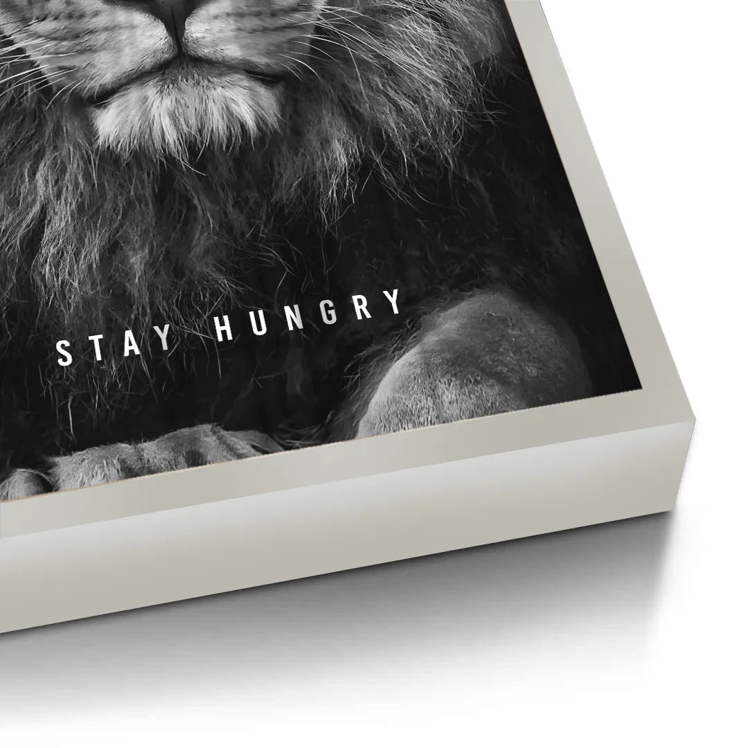 2Stay Hungry - Fine Art