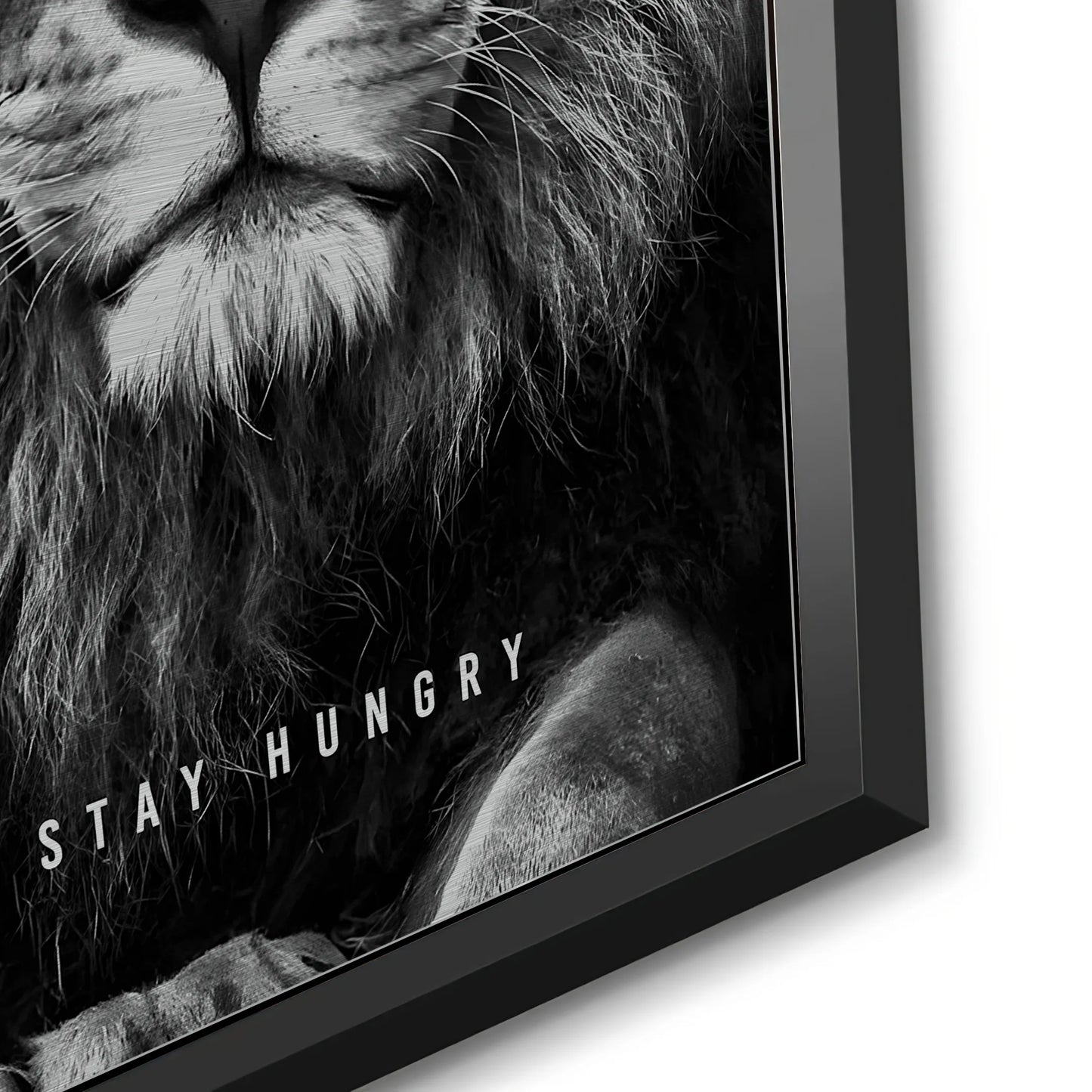 2Stay Hungry - Metal