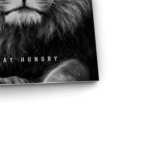 Stay Hungry - Metal