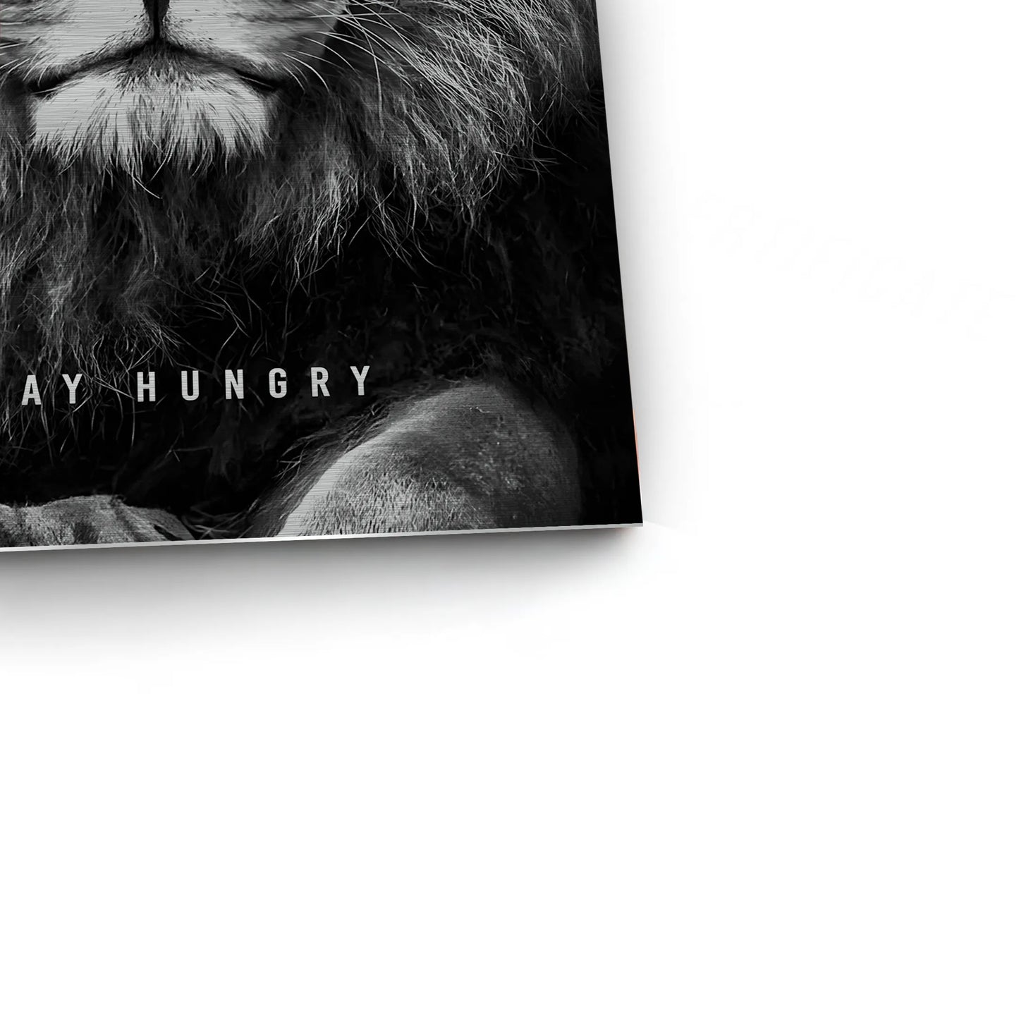 2Stay Hungry - Metal