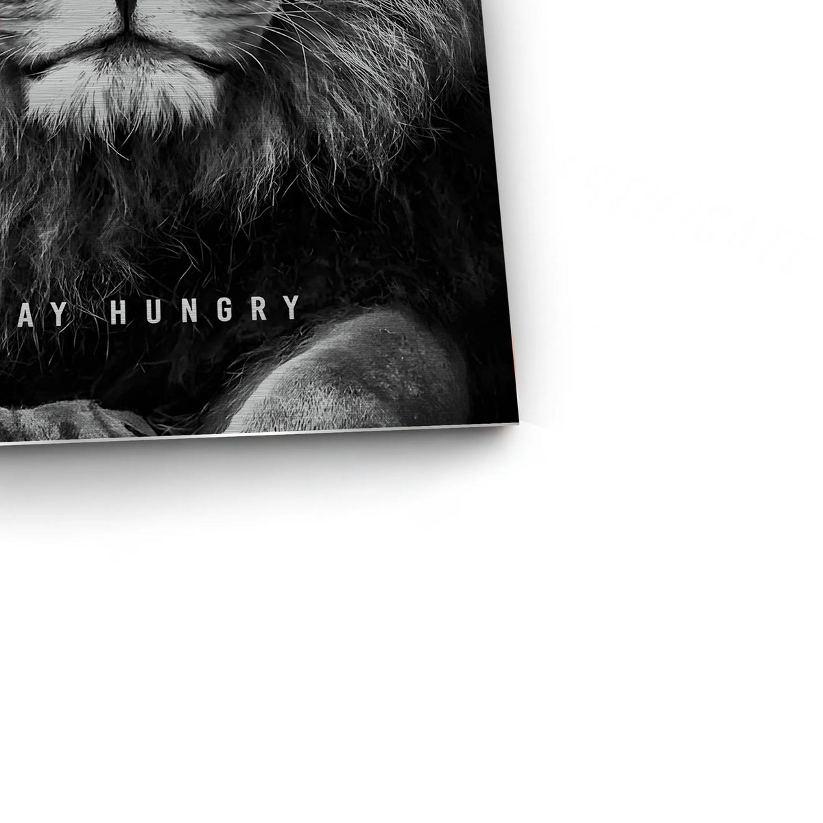 Stay Hungry - Metal - Jasmineart.ae